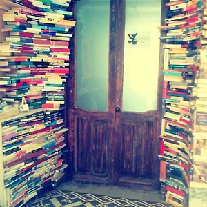 Ratones De Biblioteca Affittacamere